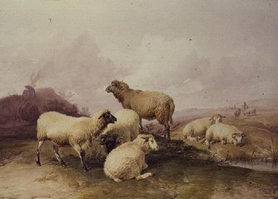 Moutons dans un paysage - Thomas Sidney Cooper